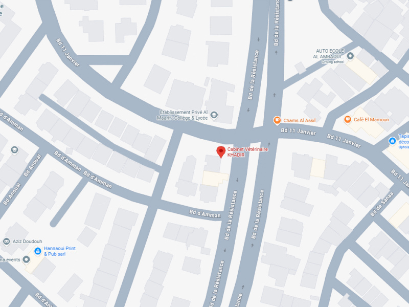 Cabinet Vétérinaire KHADIR – Vétérinaire au Maroc