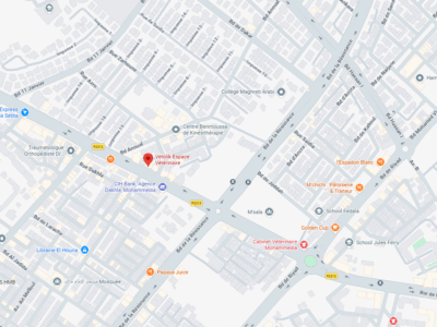 Vetolik Espace Vétérinaire – Vétérinaire au Maroc