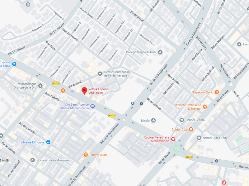 Vetolik Espace Vétérinaire – Vétérinaire au Maroc