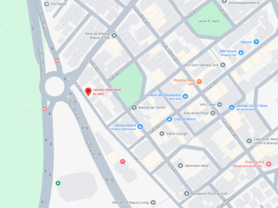 Cabinet Vétérinaire du parc – Vétérinaire au Maroc