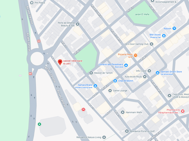 Cabinet Vétérinaire du parc – Vétérinaire au Maroc