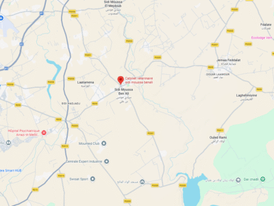 Cabinet veterinaire sidi moussa benali – Vétérinaire au Maroc