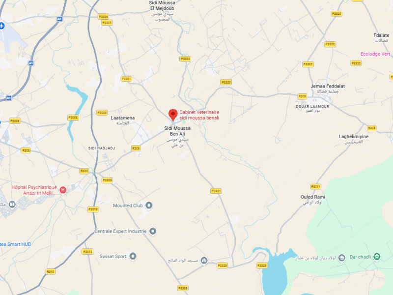 Cabinet veterinaire sidi moussa benali – Vétérinaire au Maroc