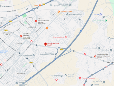 Cabinet vétérinaire DIAVET – Vétérinaire au Maroc