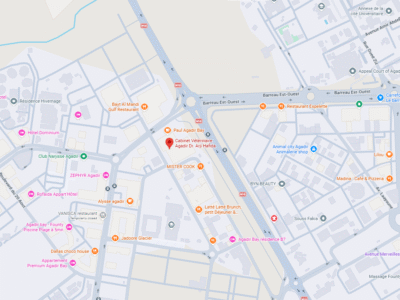 Cabinet Vétérinaire Agadir Dr. Arji Hafida – Vétérinaire au Maroc