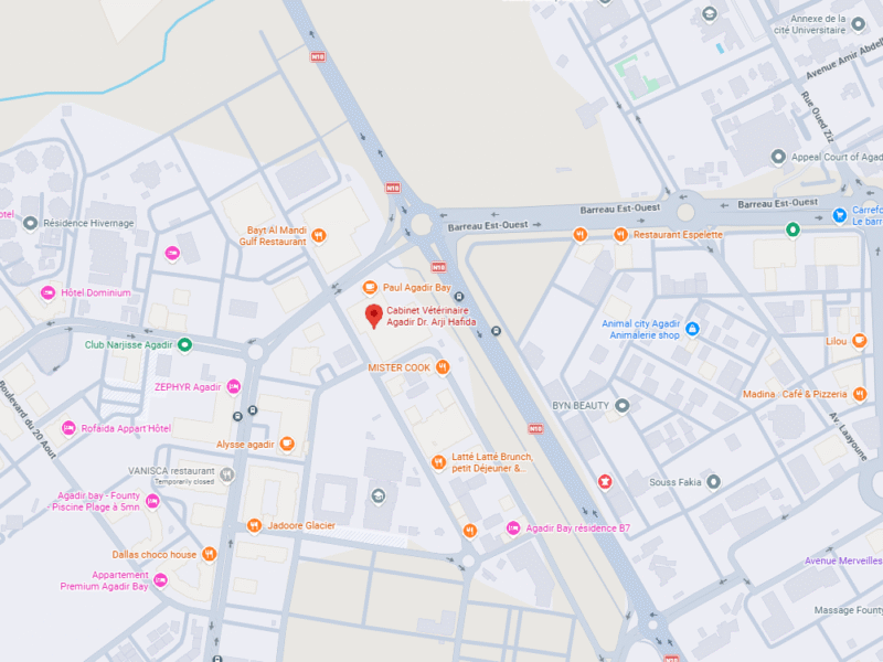 Cabinet Vétérinaire Agadir Dr. Arji Hafida – Vétérinaire au Maroc