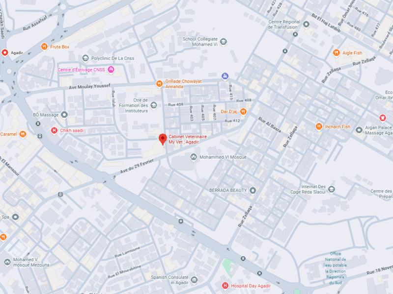 Cabinet Vétérinaire MyVet , Agadir – Vétérinaire au Maroc
