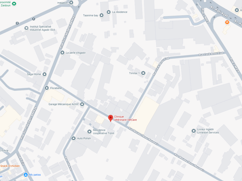 Clinique vétérinaire VetCare – Vétérinaire au Maroc