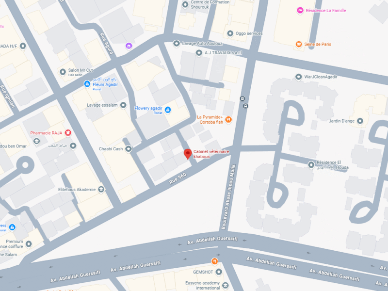 Cabinet vétérinaire khabous – Vétérinaire au Maroc