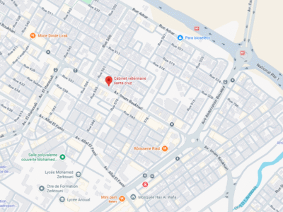 Cabinet vétérinaire santa cruz – Vétérinaire au Maroc