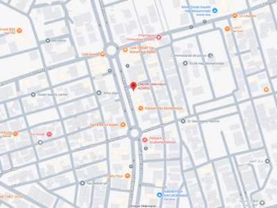 Cabinet vétérinaire AZAROU – Vétérinaire au Maroc