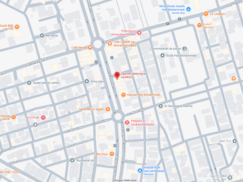 Cabinet vétérinaire AZAROU – Vétérinaire au Maroc