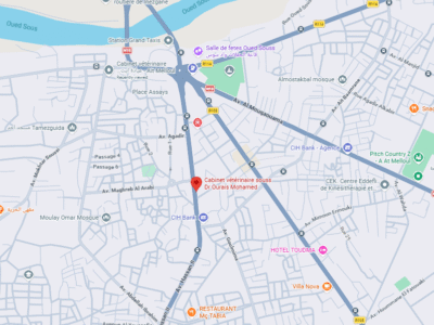 Cabinet vétérinaire souss Dr Ourais Mohamed – Vétérinaire au Maroc