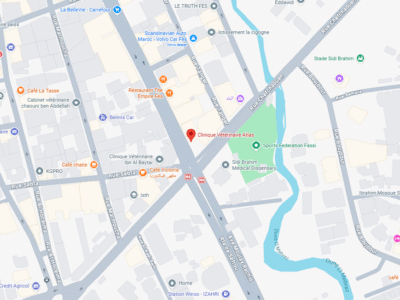 Clinique Vétérinaire Atlas – Vétérinaire au Maroc