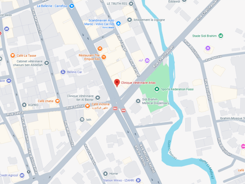Clinique Vétérinaire Atlas – Vétérinaire au Maroc