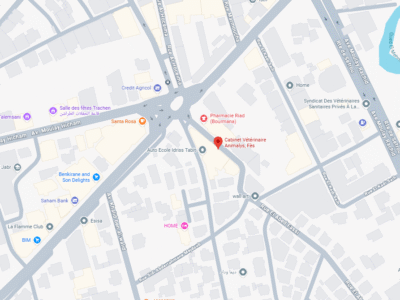 Cabinet Vétérinaire Animalys – Vétérinaire au Maroc