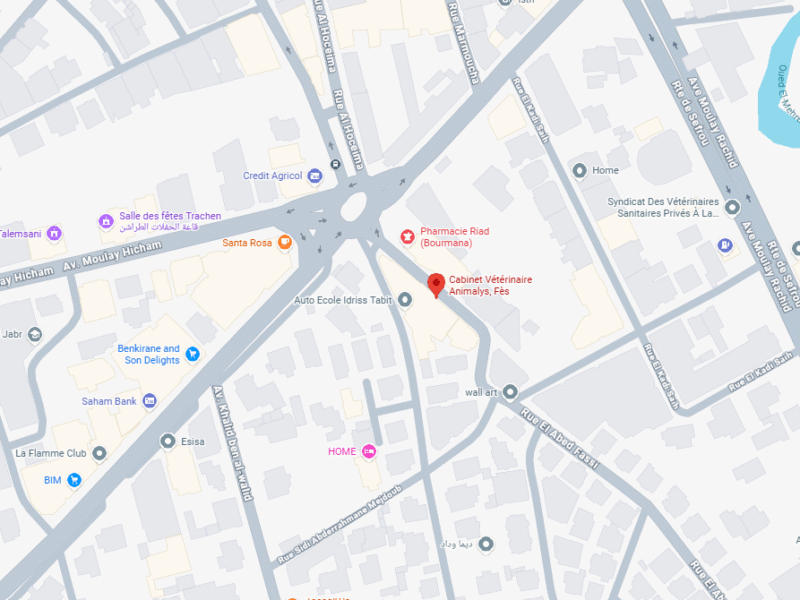Cabinet Vétérinaire Animalys – Vétérinaire au Maroc