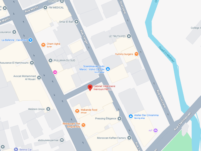 Cabinet Vétérinaire merrouni – Vétérinaire au Maroc