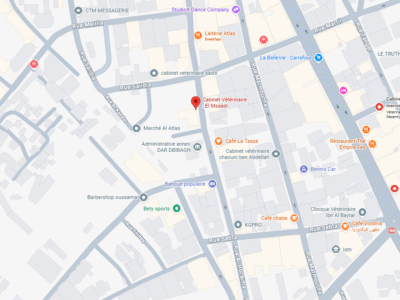 Cabinet Vétérinaire : El Msaadi – Vétérinaire au Maroc