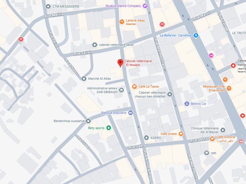 Cabinet Vétérinaire : El Msaadi – Vétérinaire au Maroc