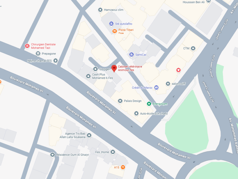 Cabinet vétérinaire Animour – Vétérinaire au Maroc