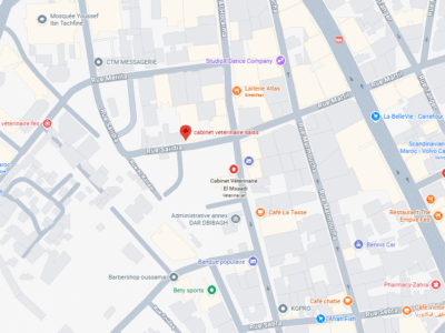 cabinet veterinaire saiss – Vétérinaire au Maroc