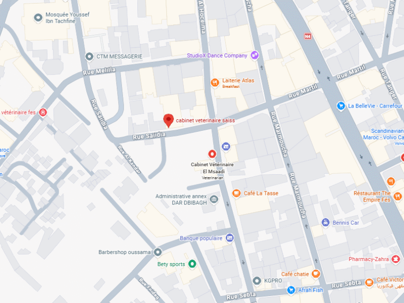 cabinet veterinaire saiss – Vétérinaire au Maroc