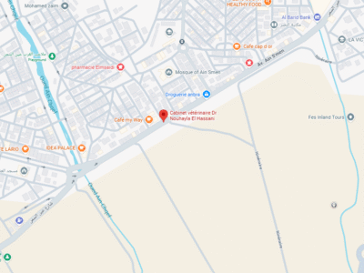 Cabinet vétérinaire Dr Nouhayla El Hassani – Vétérinaire au Maroc