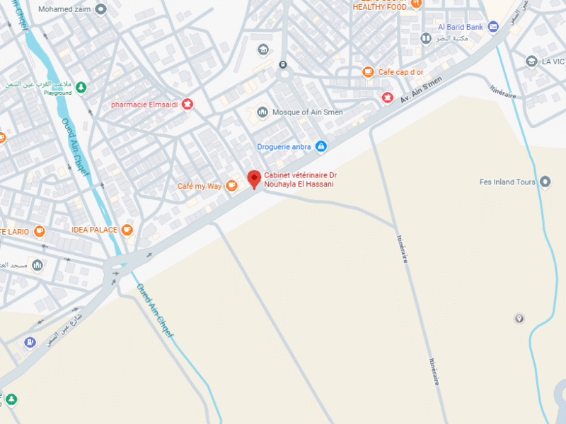 Cabinet vétérinaire Dr Nouhayla El Hassani – Vétérinaire au Maroc