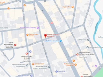 Cabinet vétérinaire Dr Belarbi – Vétérinaire au Maroc