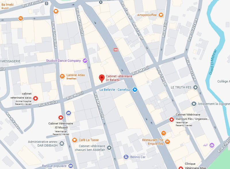 Cabinet vétérinaire Dr Belarbi – Vétérinaire au Maroc