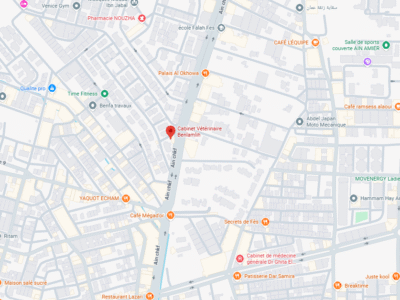 Cabinet Vétérinaire Benlamlih – Vétérinaire au Maroc