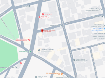 Cabinet Vétérinaire Drs. Meryem TOUHAMI et JOUAHRI – Vétérinaire au Maroc