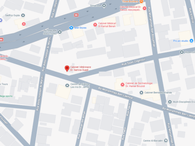 Cabinet Vétérinaire Dr. Samira Ouadi – Vétérinaire au Maroc