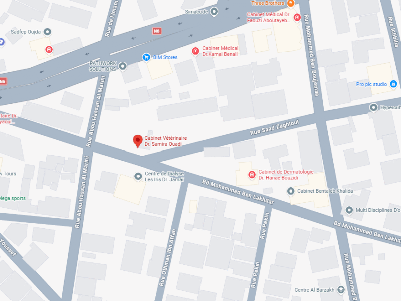 Cabinet Vétérinaire Dr. Samira Ouadi – Vétérinaire au Maroc