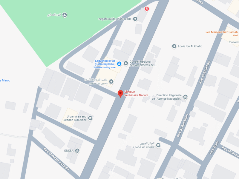 Clinique Vétérinaire Daoudi – Vétérinaire au Maroc