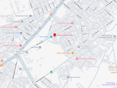 Cabinet Vétérinaire Rifk – Vétérinaire au Maroc