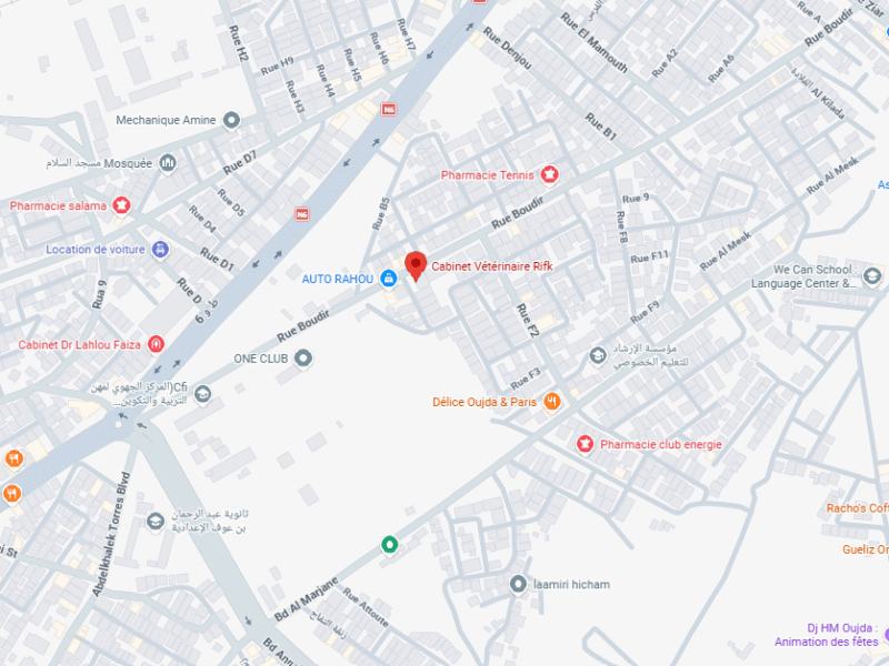 Cabinet Vétérinaire Rifk – Vétérinaire au Maroc