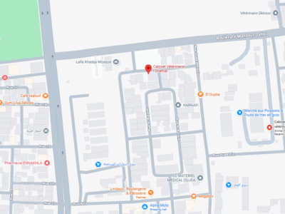 Cabinet Vétérinaire l'Oriental – Vétérinaire au Maroc