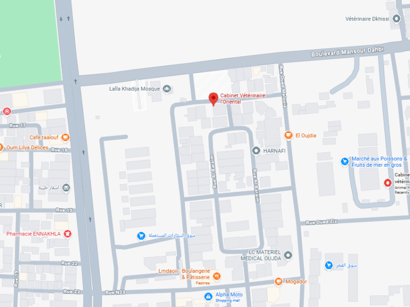 Cabinet Vétérinaire l'Oriental – Vétérinaire au Maroc