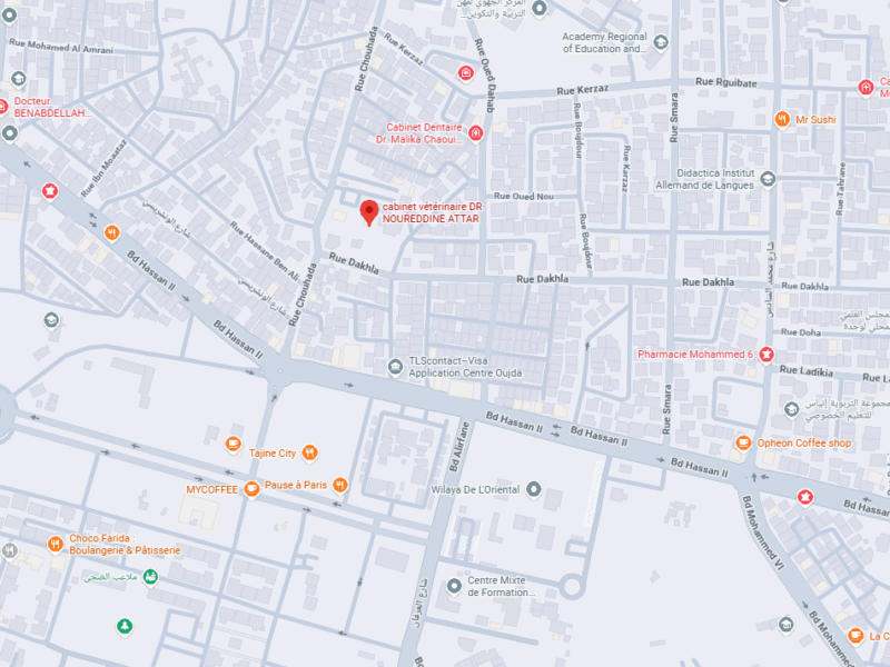 cabinet vétérinaire DR NOUREDDINE ATTAR – Vétérinaire au Maroc