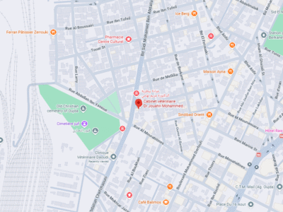 Cabinet vétérinaire Dr Jouahri Mohammed Amine – Vétérinaire au Maroc