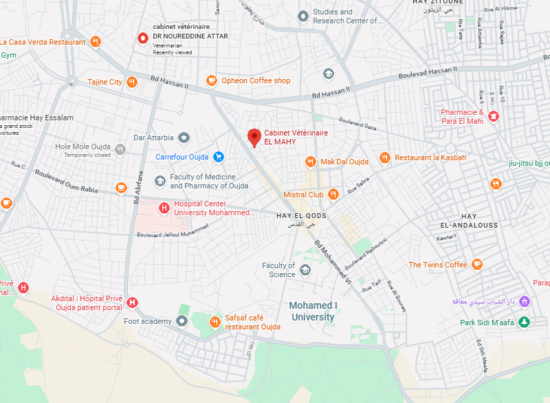 Cabinet Vétérinaire EL MAHY – Vétérinaire au Maroc