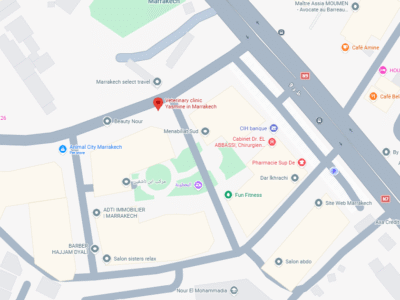 Clinique vétérinaire Yasmine à Marrakech – Vétérinaire au Maroc