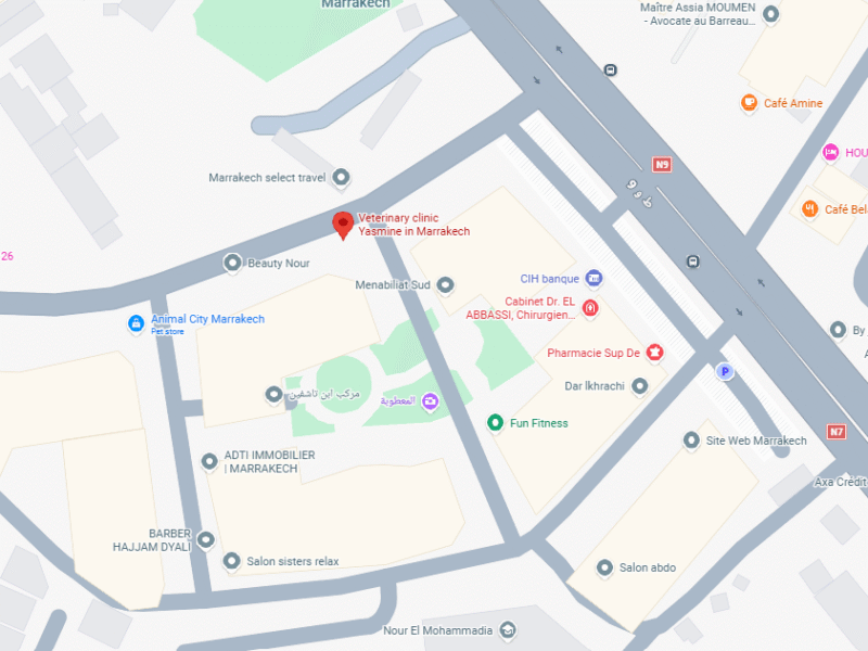 Clinique vétérinaire Yasmine à Marrakech – Vétérinaire au Maroc