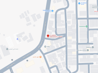 Dr LAMRINI Abderrahmane – Vétérinaire au Maroc