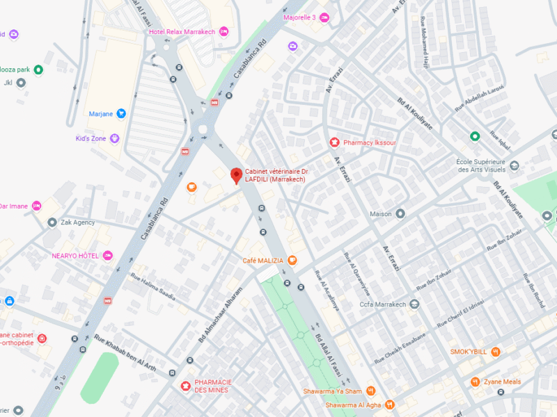 Cabinet vétérinaire Dr LAFDILI – Vétérinaire au Maroc