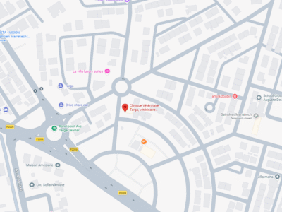 Clinique Vétérinaire Targa – Vétérinaire au Maroc