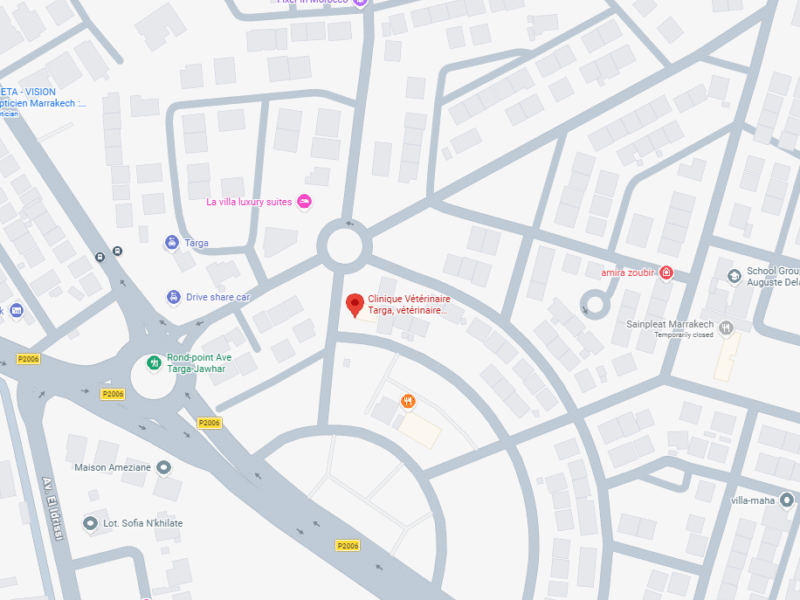 Clinique Vétérinaire Targa – Vétérinaire au Maroc