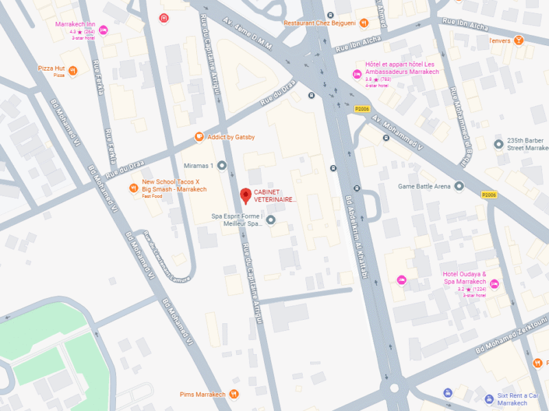 CABINET VETERINAIRE VICTOR HUGO – Vétérinaire au Maroc